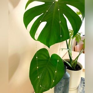 Dainty, long ENewton Pearl Necklace